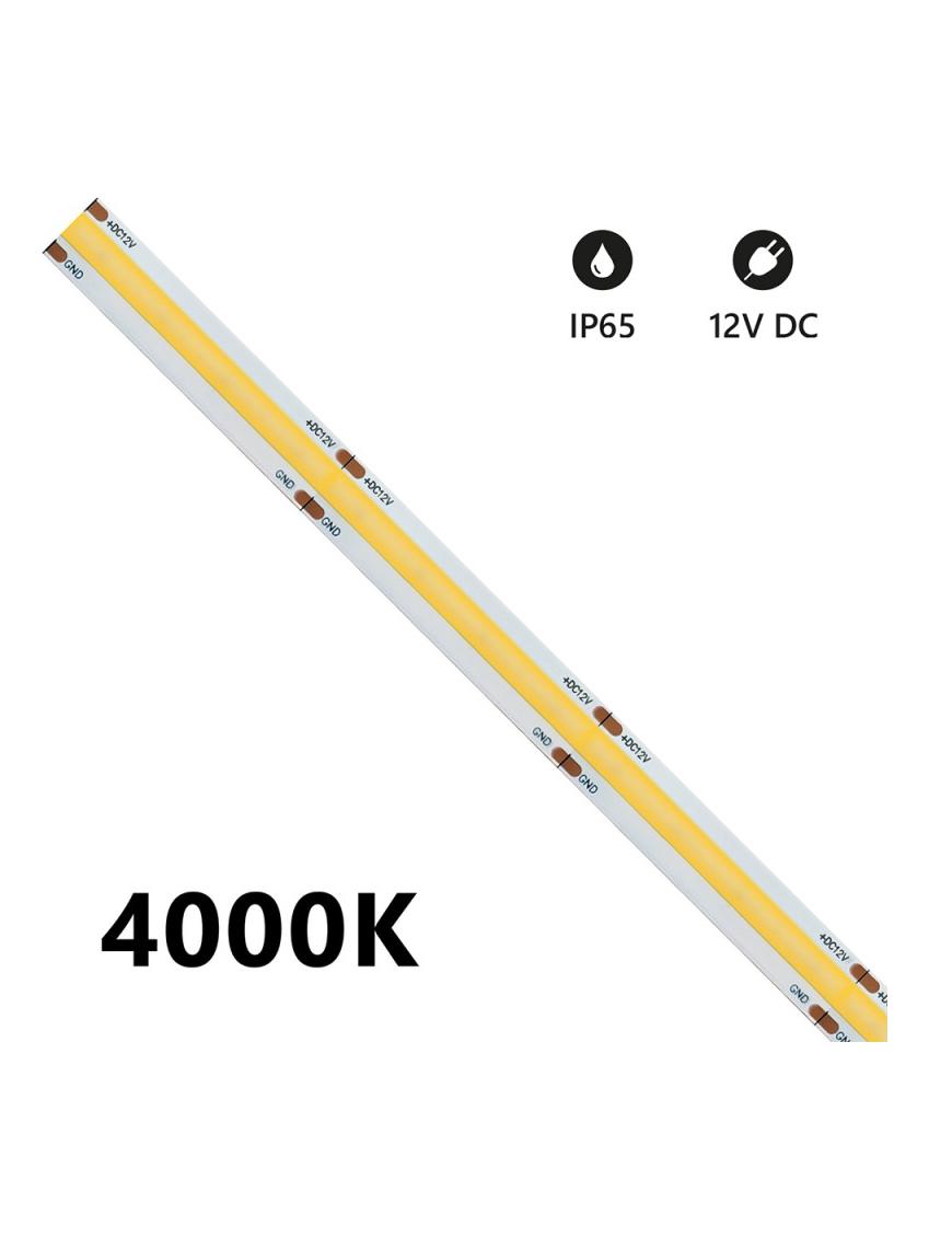 Strip LED 5M LED COB 15W/m 12V Dimmable IP65