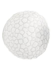 Meteorite Lamp Applique Wall And Ceiling led Dimmable