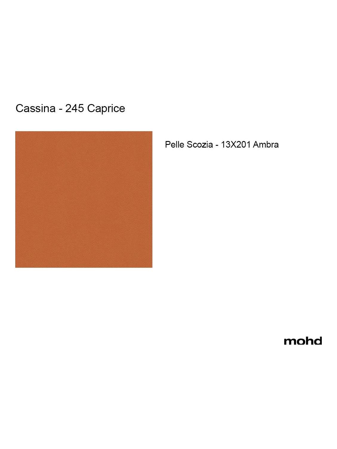 https://objectstorage.ap-seoul-1.oraclecloud.com/n/cnk6gaix2gpw/b/loqoqo-conv/o/cassina/245-caprice-chair-leather-scozia-13-x-201-ambra/245CapriceCassinaPelleScoziaAmbraRivestimento.jpg