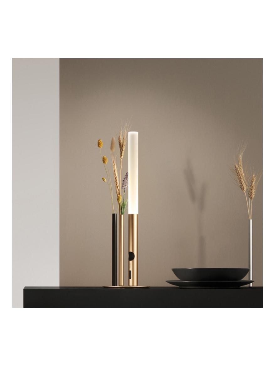 https://objectstorage.ap-seoul-1.oraclecloud.com/n/cnk6gaix2gpw/b/loqoqo-conv/o/cini-and-nils/ciniand-nils-ognidove-battery-powered-led-lamp-with-vase/163299.jpg