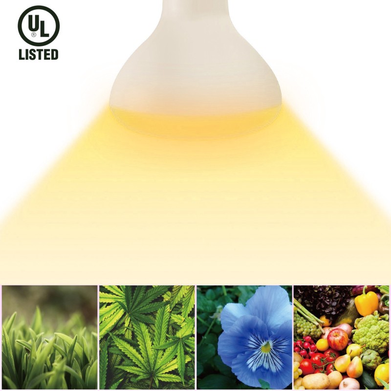 https://objectstorage.ap-seoul-1.oraclecloud.com/n/cnk6gaix2gpw/b/loqoqo-conv/o/daylight-italia/daylight-flowering-led-bulb-plant-flower-br-30-e-27-12-w-horticolture/13256.jpg