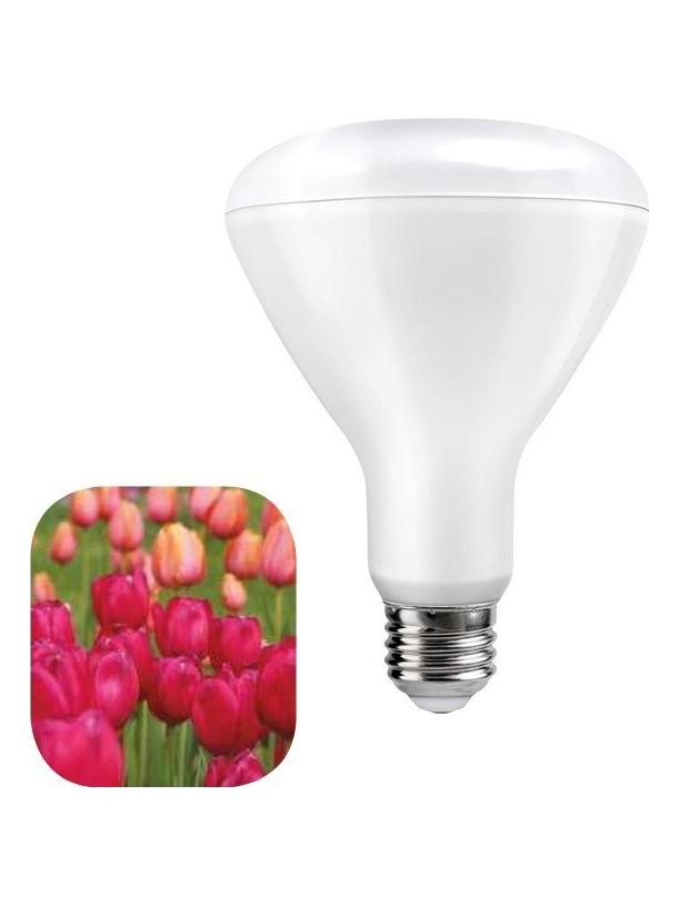 Daylight Flowering LED Bulb Plant Flower BR30 E27 12W Horticolture
