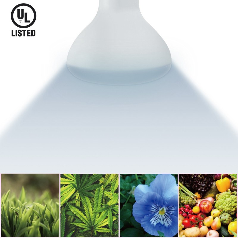 https://objectstorage.ap-seoul-1.oraclecloud.com/n/cnk6gaix2gpw/b/loqoqo-conv/o/daylight-italia/daylight-growing-led-bulb-plant-green-br-30-e-27-12-w-horticolture/13266.jpg