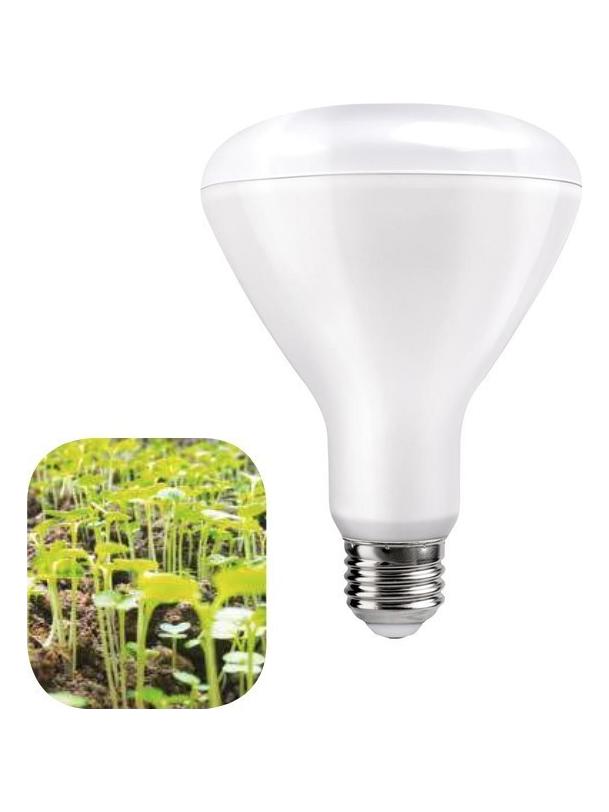 Daylight Growing LED Bulb Plant Green BR30 E27 12W Horticolture