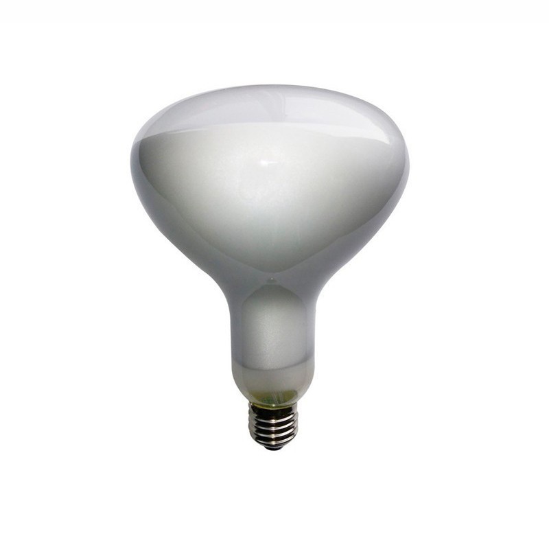 https://objectstorage.ap-seoul-1.oraclecloud.com/n/cnk6gaix2gpw/b/loqoqo-conv/o/daylight-italia/daylight-led-bulb-e-27-r-125-11-2-w-dimmable/75380.jpg