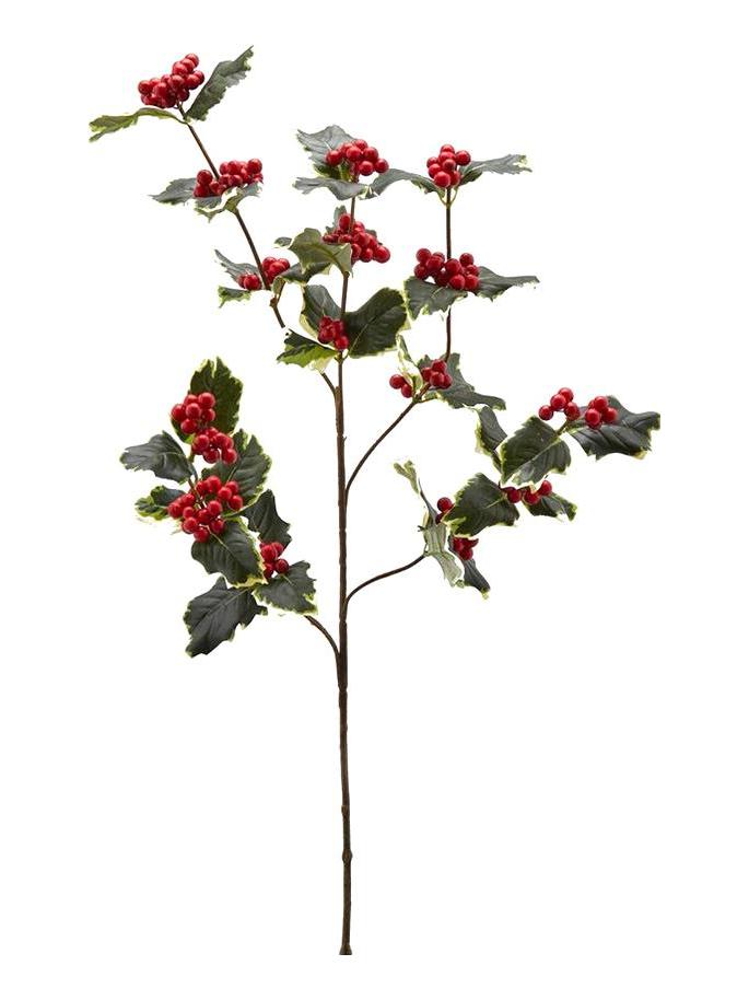 Rex Branch of Holly Bell – White/Green