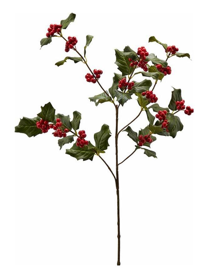 Rex Holly Branch - Green