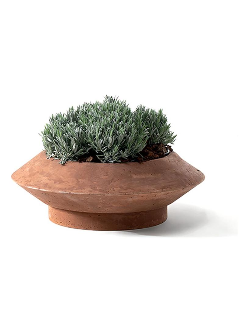 Crocus Bulbi Vase 03