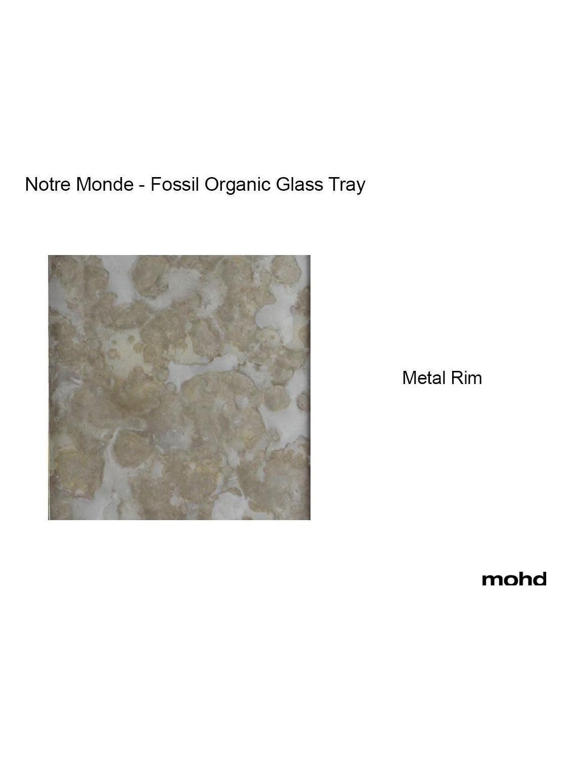 Fossil Organic Glass Valet Tray - Metal Rim - M