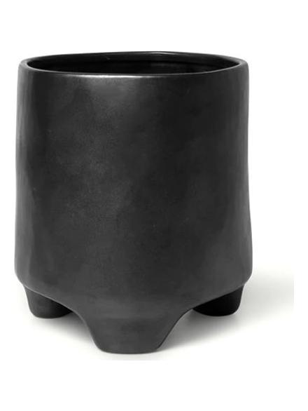Esca Pot
