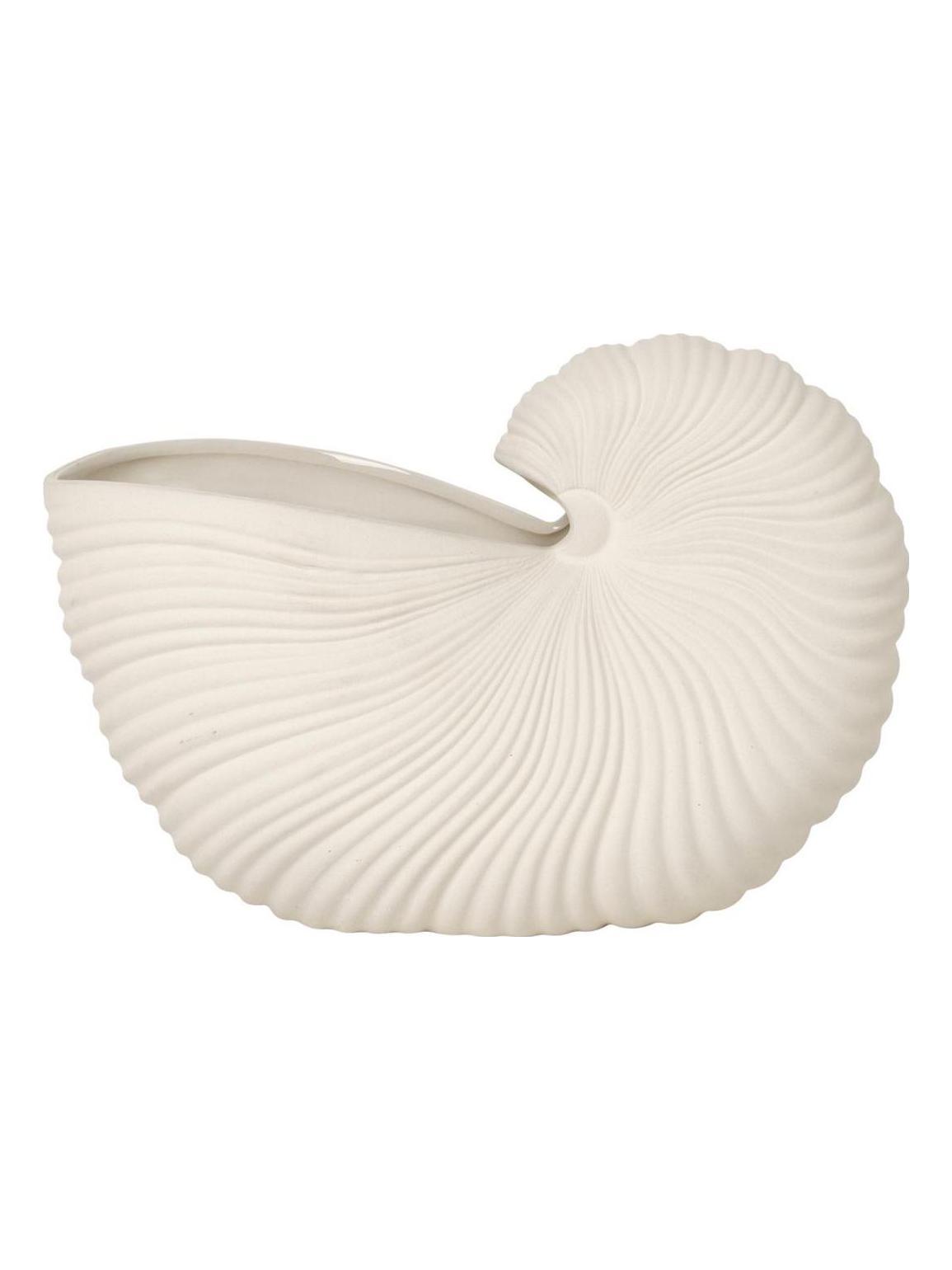 Shell Pot