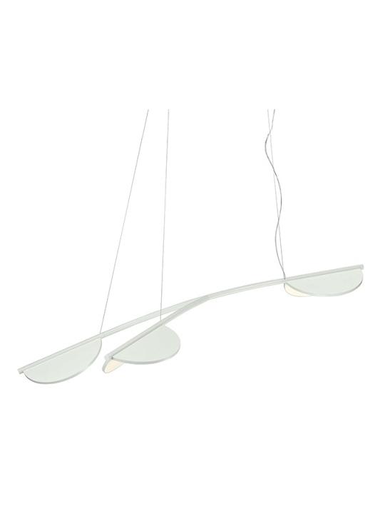 Almendra Organic S3 Y Suspension Lamp