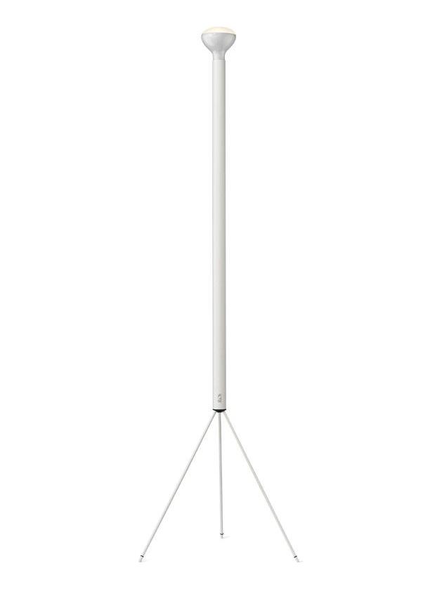 Luminator Floor Lamp