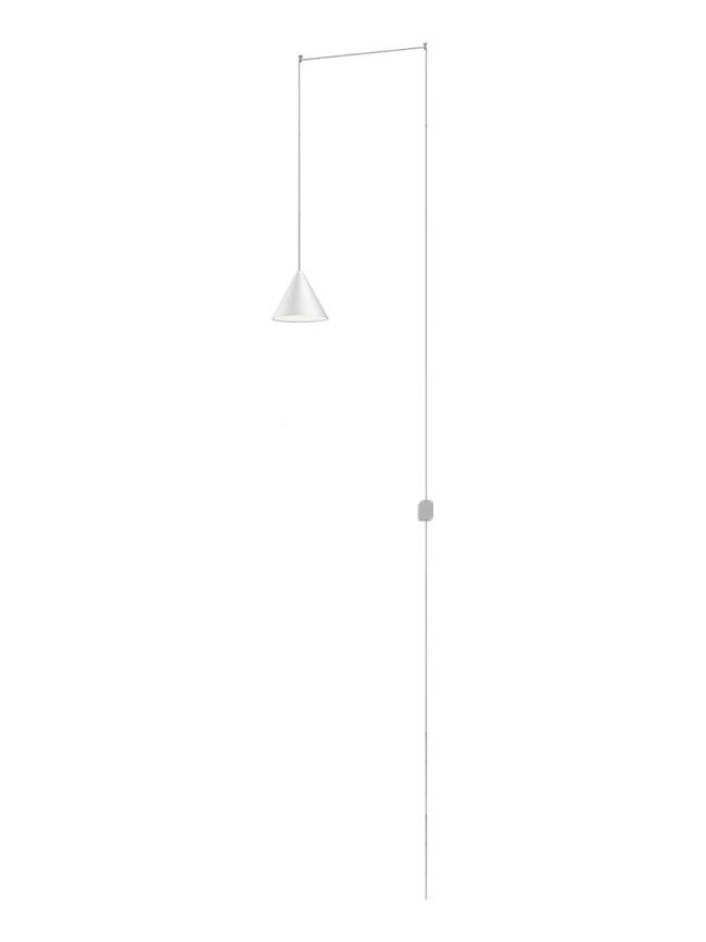 String Light Cone and rose white