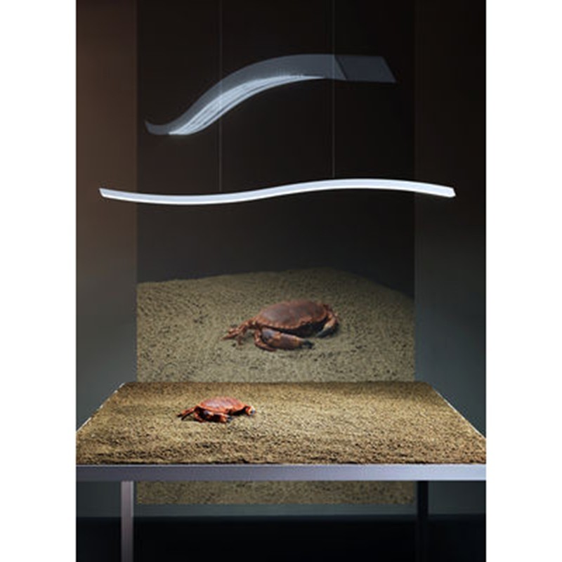 https://objectstorage.ap-seoul-1.oraclecloud.com/n/cnk6gaix2gpw/b/loqoqo-conv/o/fontana-arte/fontana-arte-serpentine-23-w-led-suspension/20232.jpg