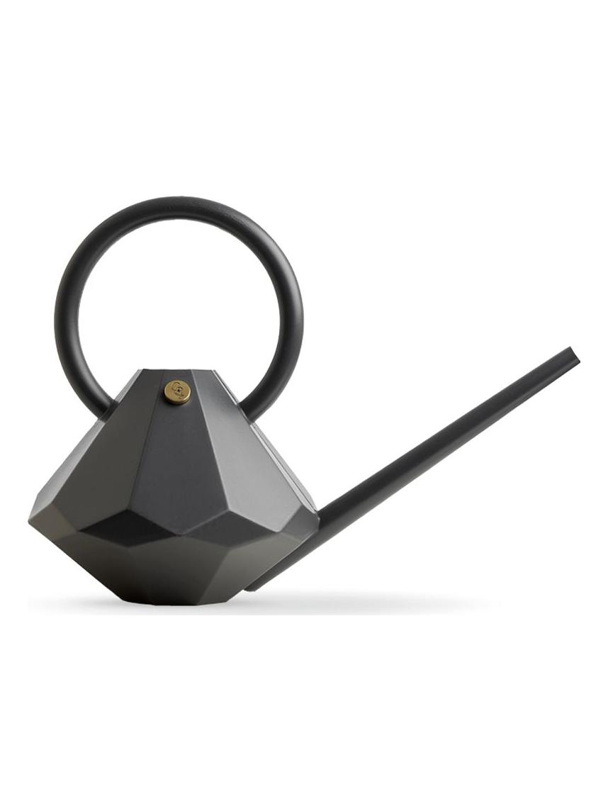 Diamond Watering Can