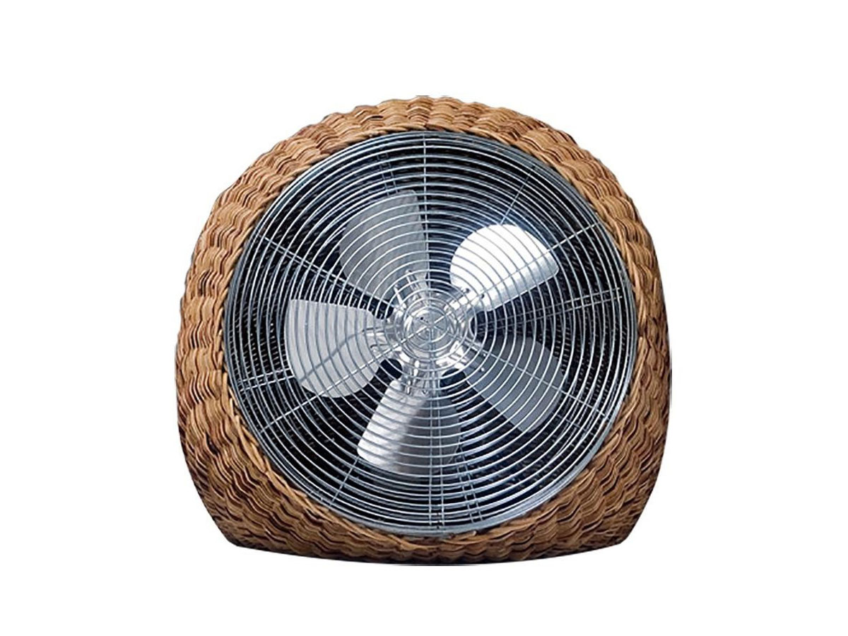 Wind L Fan
