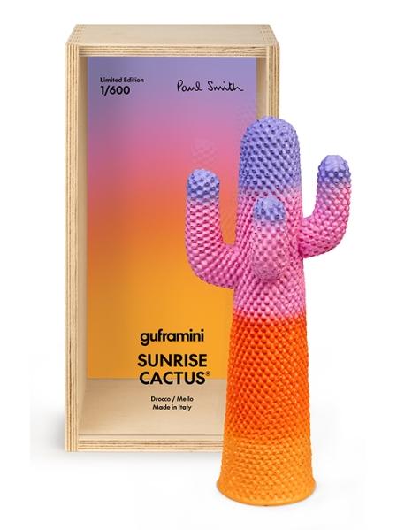 Mini Sunrise Cactus Limited Edition