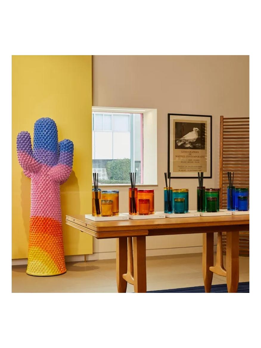 https://objectstorage.ap-seoul-1.oraclecloud.com/n/cnk6gaix2gpw/b/loqoqo-conv/o/gufram/sunrise-paul-smith-cactus-coat-hanger-limited-edition/142621.jpg