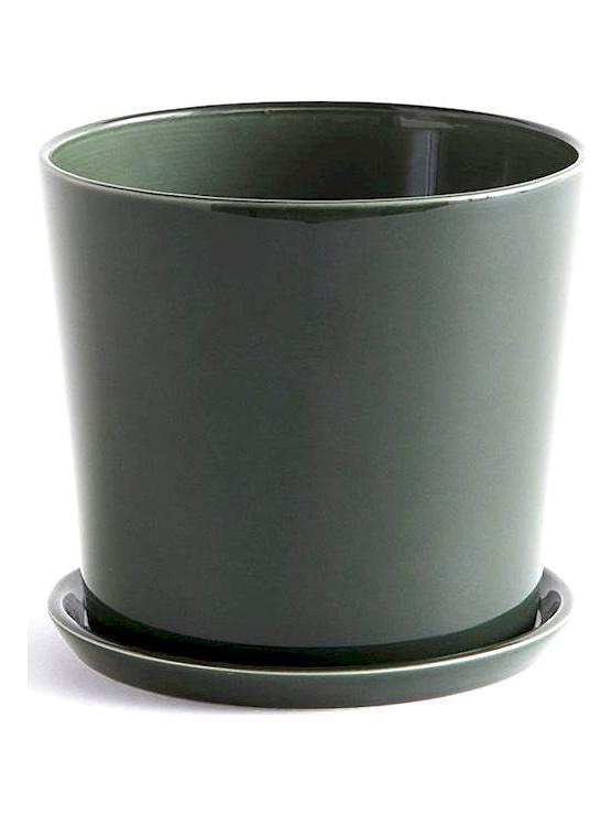 Botanical Family Set Vase