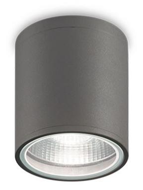 Ideal Lux GUN PL1 Cylinder ceiling lamp