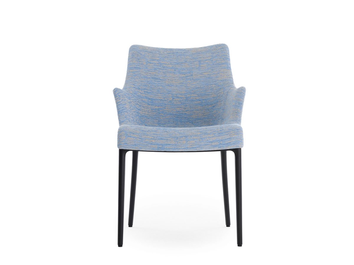 https://objectstorage.ap-seoul-1.oraclecloud.com/n/cnk6gaix2gpw/b/loqoqo-conv/o/kartell/eleganza-ela-chair/EleganzaNiaKartellAzzurro.jpg