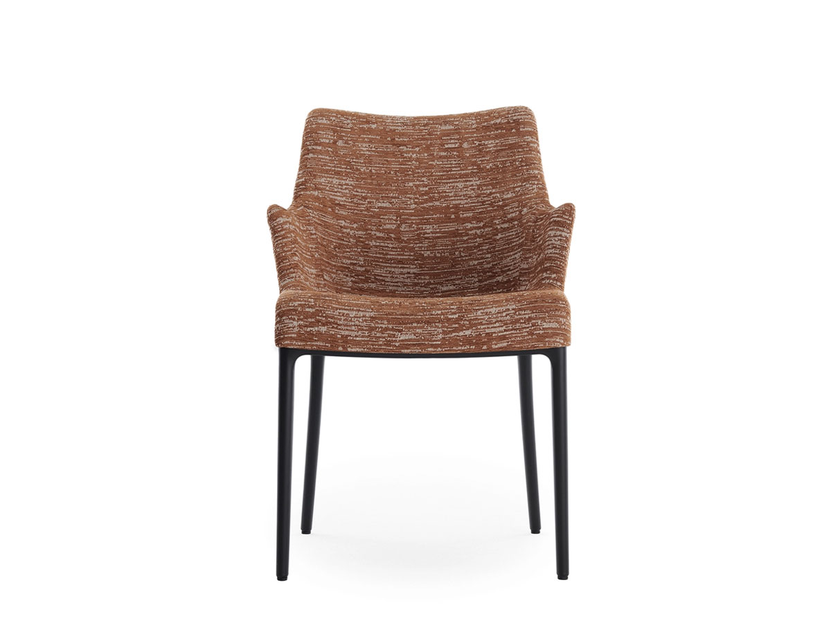 https://objectstorage.ap-seoul-1.oraclecloud.com/n/cnk6gaix2gpw/b/loqoqo-conv/o/kartell/eleganza-ela-chair/EleganzaNiaKartellRuggine.jpg
