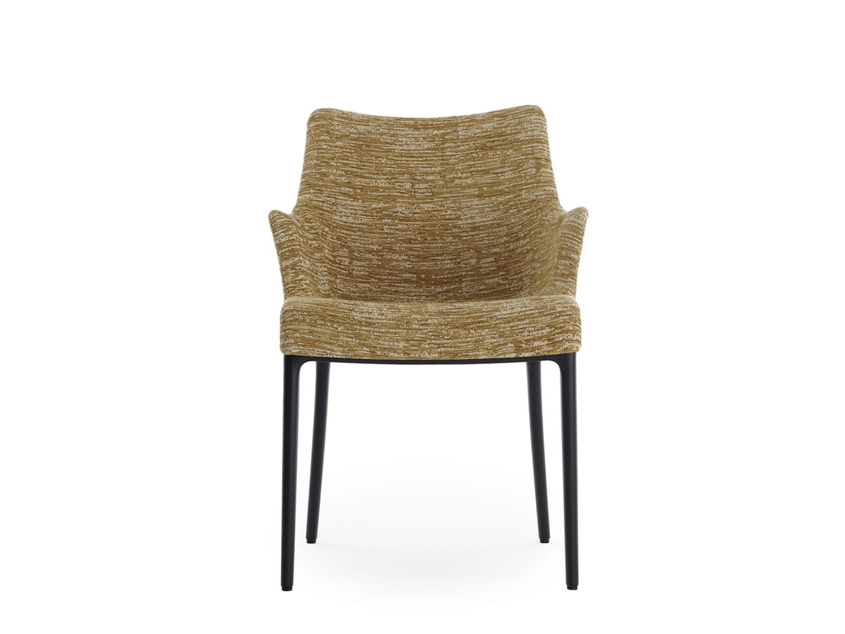 https://objectstorage.ap-seoul-1.oraclecloud.com/n/cnk6gaix2gpw/b/loqoqo-conv/o/kartell/eleganza-ela-chair/EleganzaNiaKartellSenape.jpg
