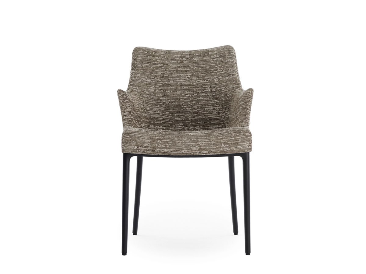 https://objectstorage.ap-seoul-1.oraclecloud.com/n/cnk6gaix2gpw/b/loqoqo-conv/o/kartell/eleganza-ela-chair/EleganzaNiaKartellTortora.jpg