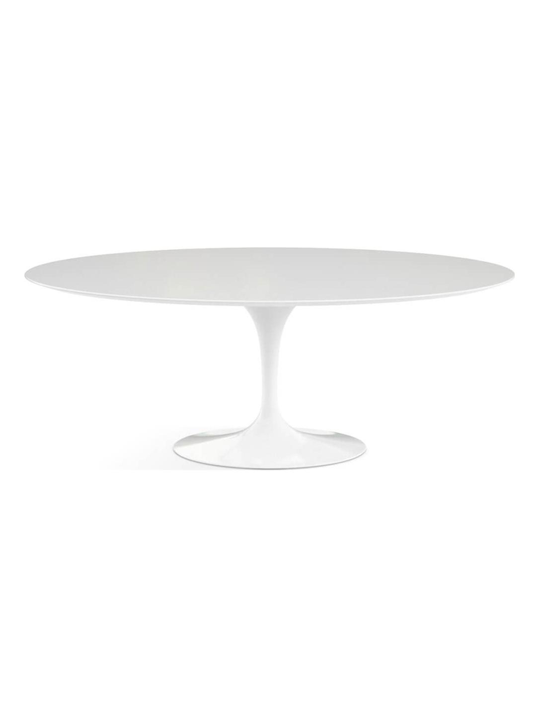 Saarinen Oval Table - White Laminate / White Rilsan