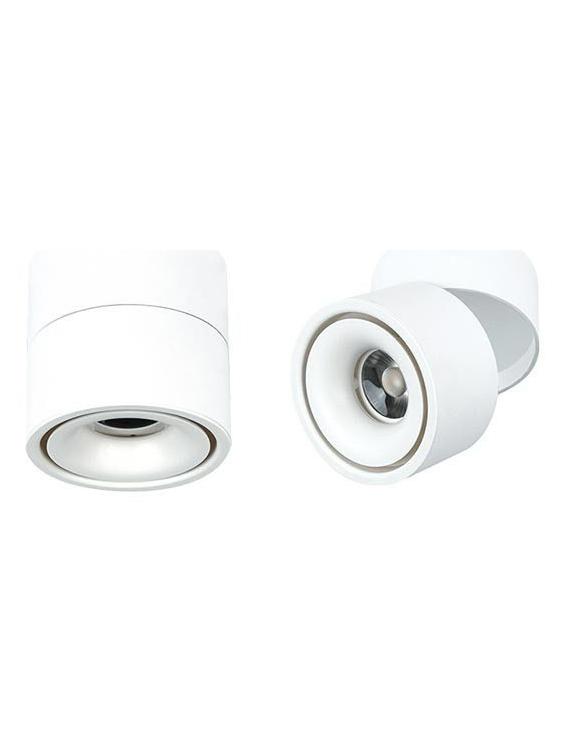 Lampo Lamp 15W LED Adjustable Cylinder Round Ceiling Surface In Aluminum For Indoor