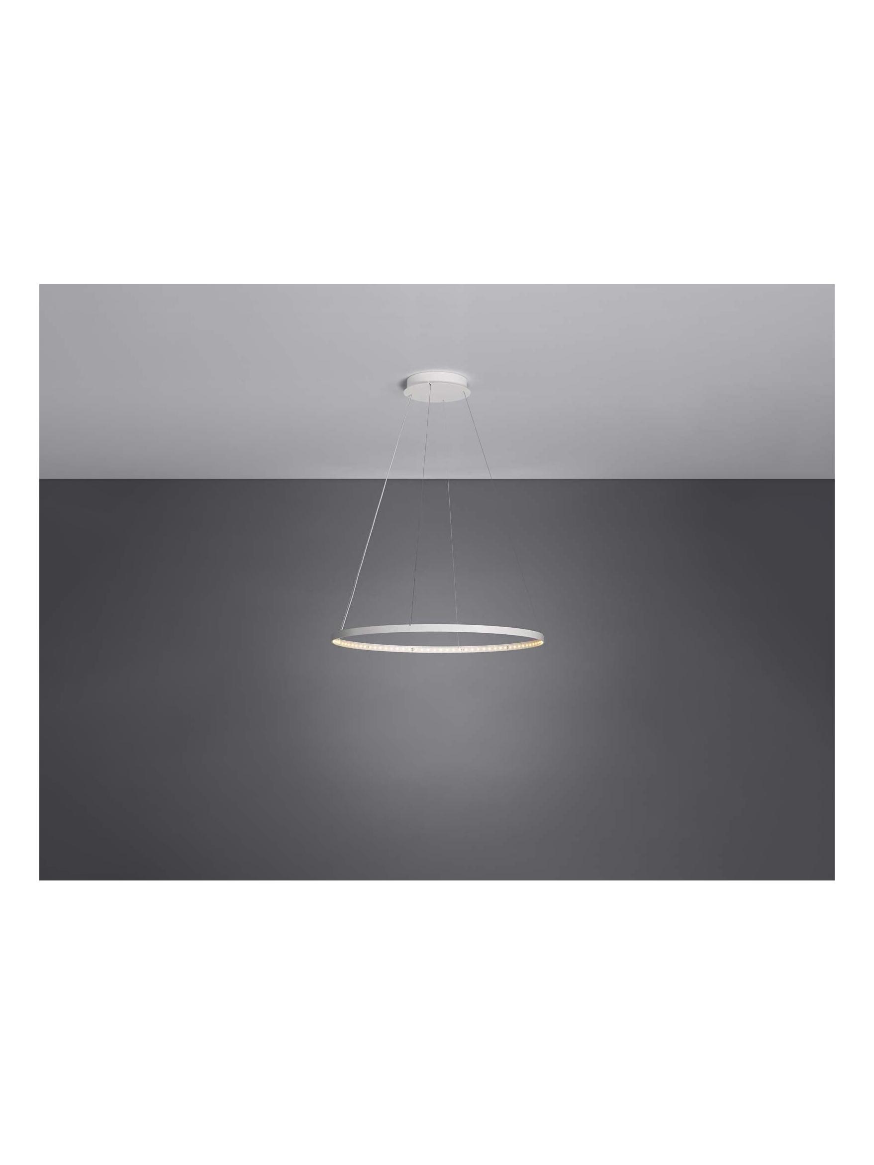 https://objectstorage.ap-seoul-1.oraclecloud.com/n/cnk6gaix2gpw/b/loqoqo-conv/o/le-deun-luminaires/circle-80-suspension-lamp/le_deun_190_cvl.jpg