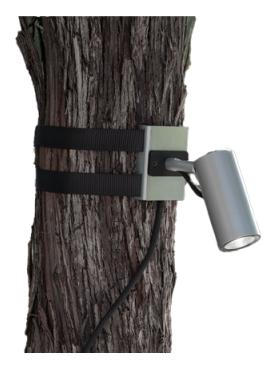 fixing bracket for poles or trees