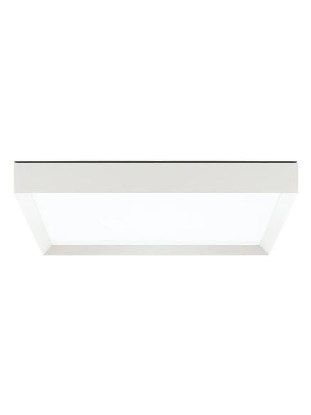 Flo Q ceiling and wall lamp
