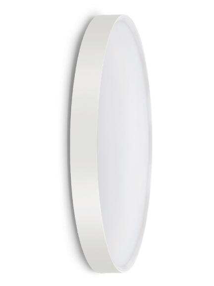Ola 500 wall and ceiling lamp