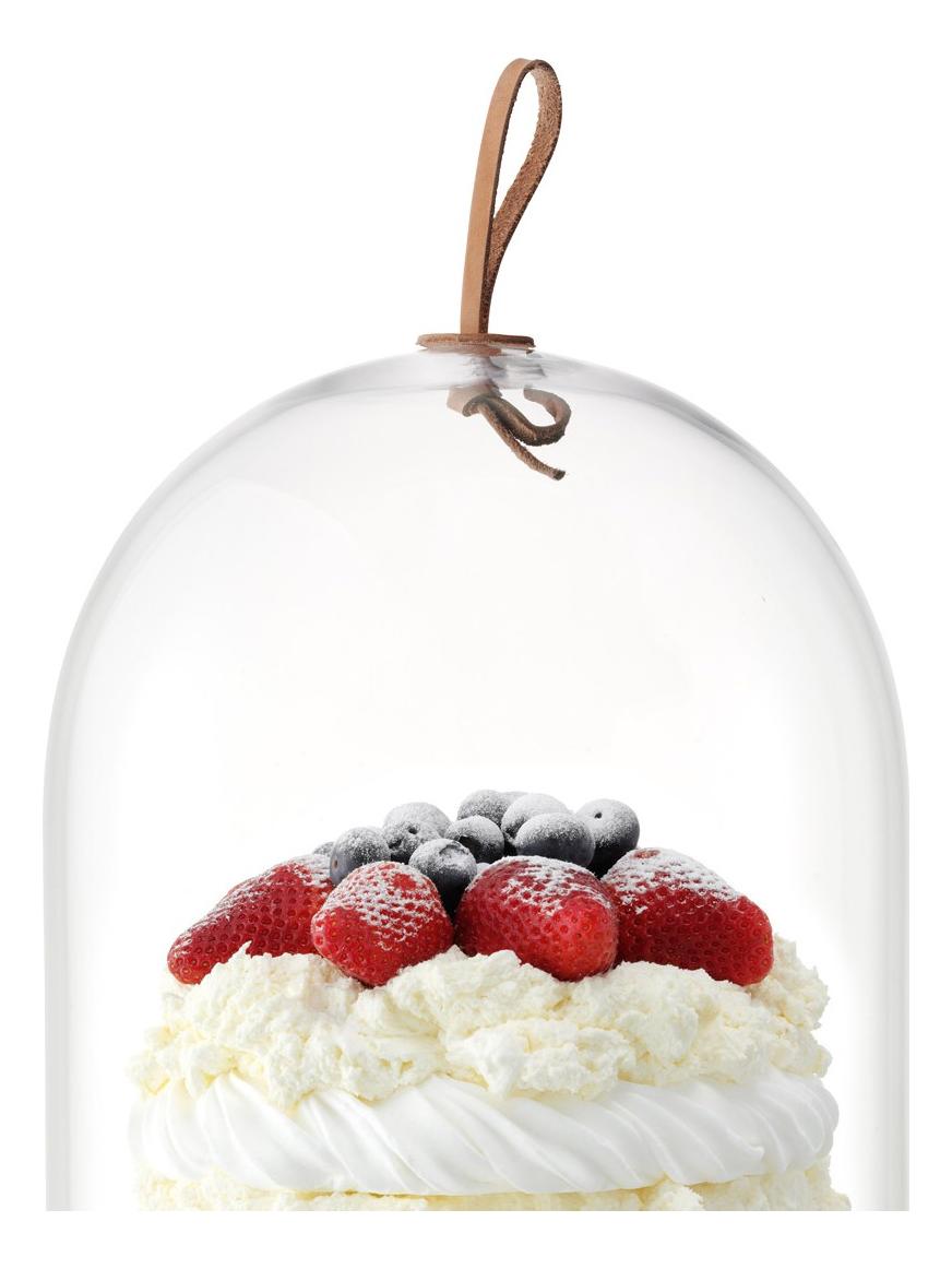 Ivalo Tray with Dome H 28,5 cm