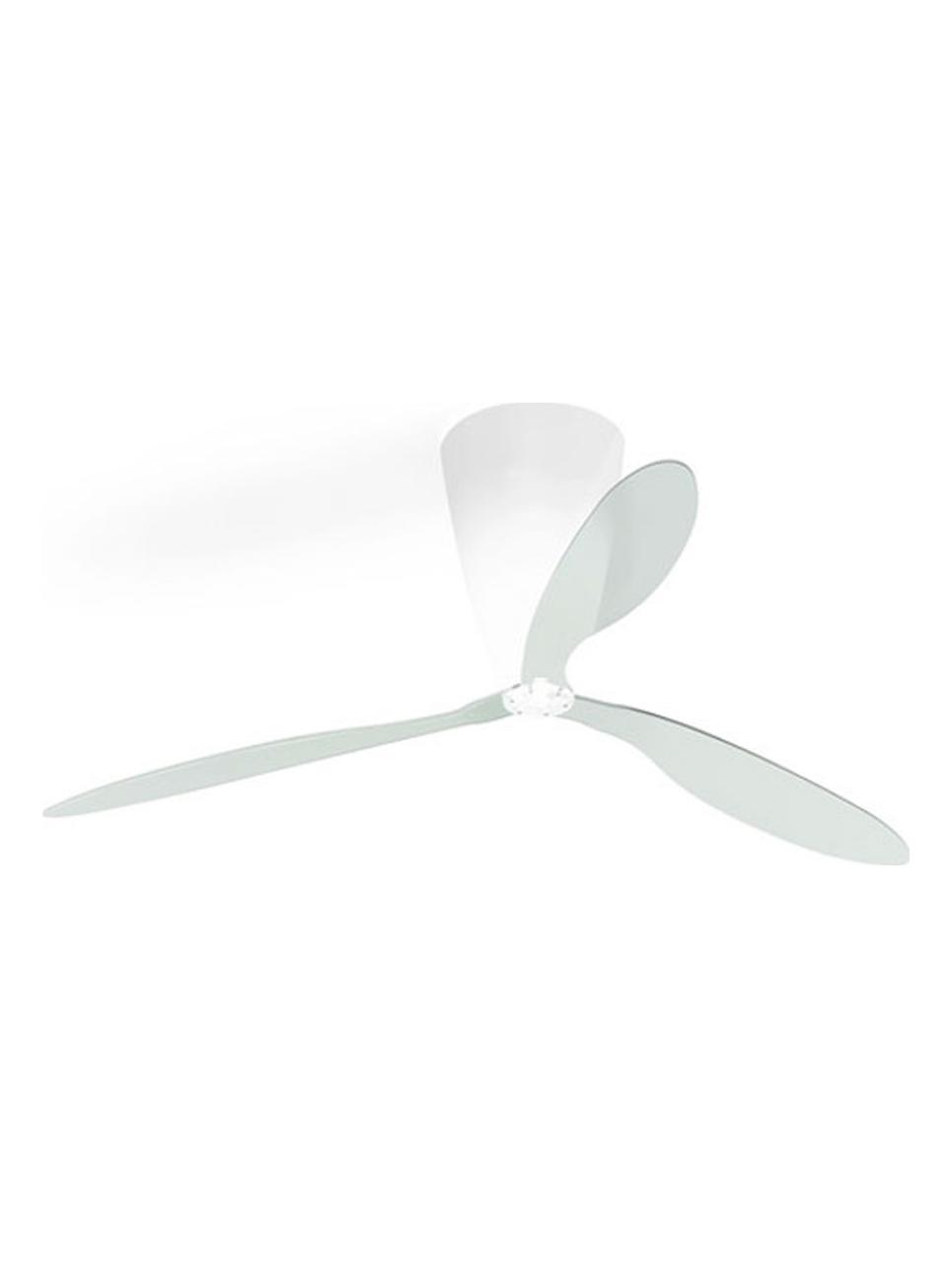 https://objectstorage.ap-seoul-1.oraclecloud.com/n/cnk6gaix2gpw/b/loqoqo-conv/o/luceplan/blow-ceiling-fan/blow-tech_1.jpg
