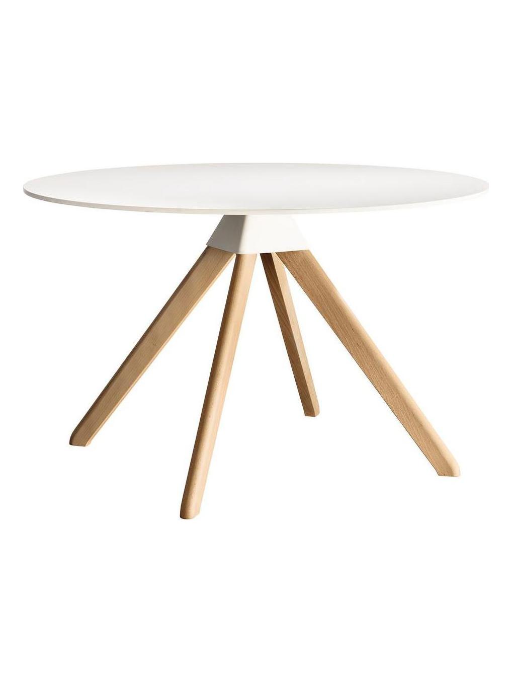 Cuckoo - The Wild Bunch