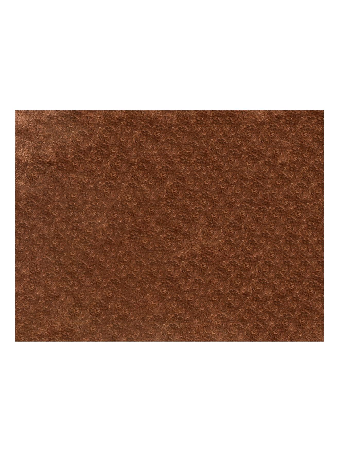 Palette Rug Rust
