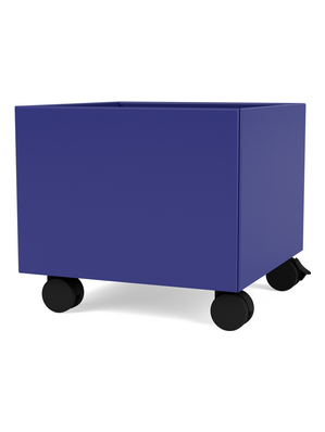 Montana Mini Container