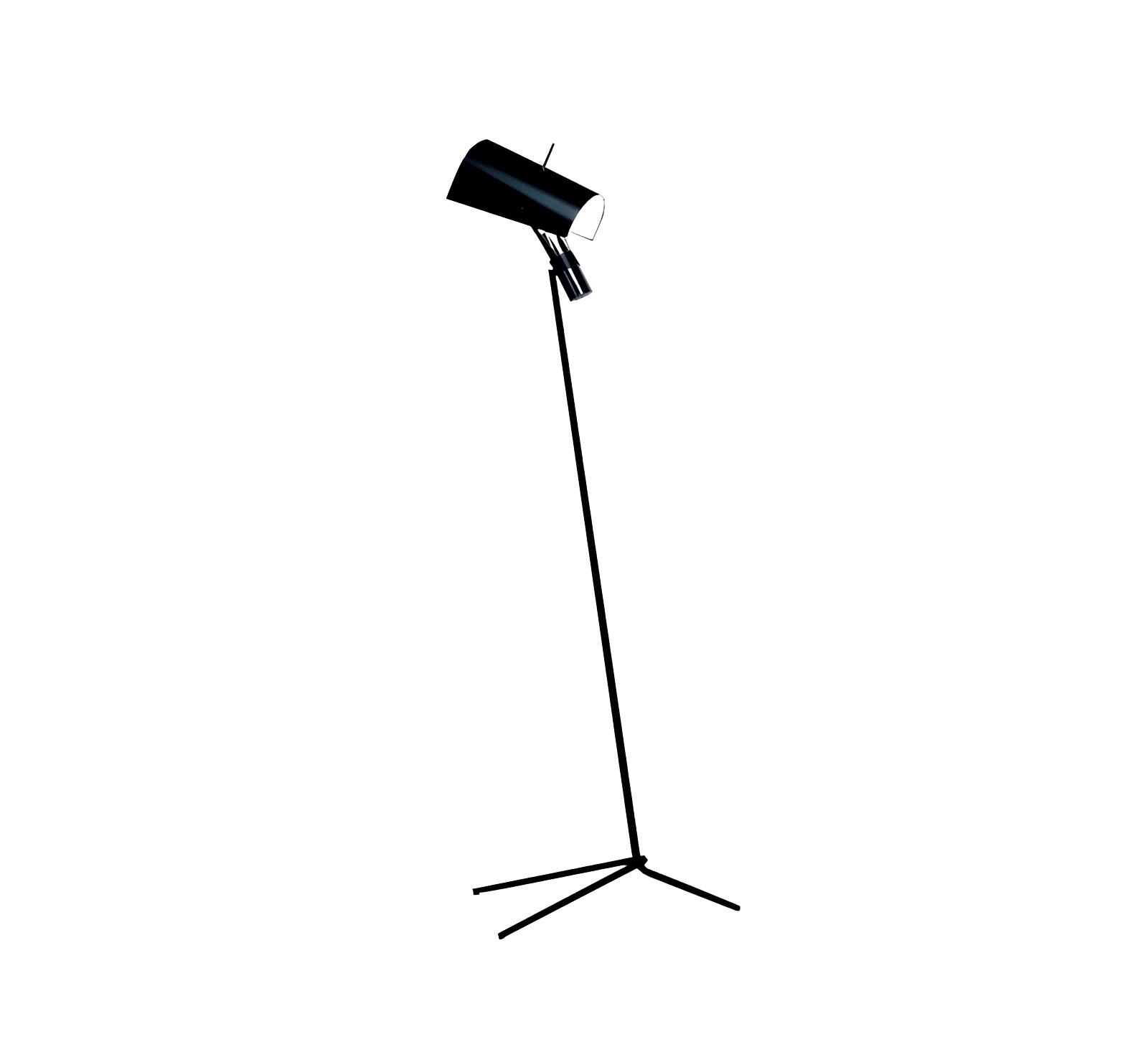 Claritas Floor Lamp