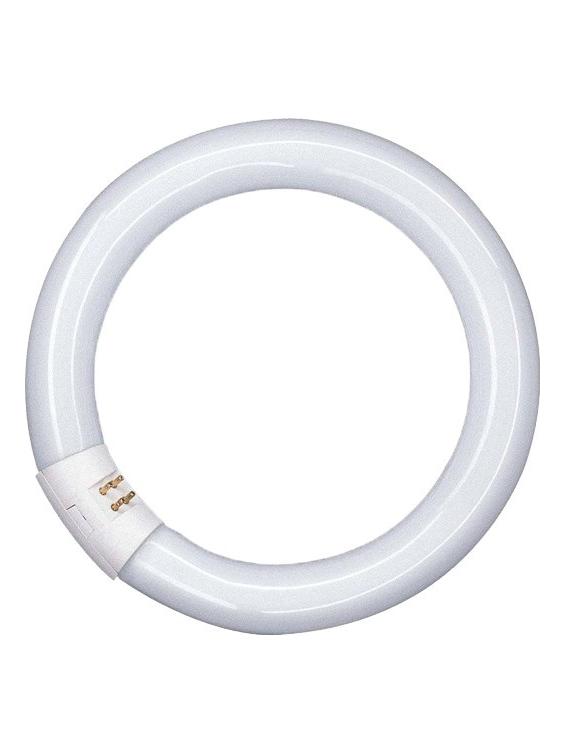 Fluorescent Circular Lamp 32W 840 2250lm 29mm LUMILUX