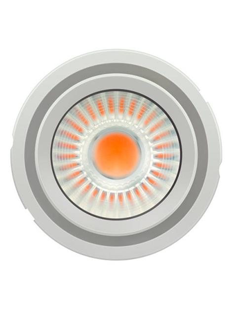 Preva LED COB 111 G2 36.6W 4300lm Lamp white Module Bulb