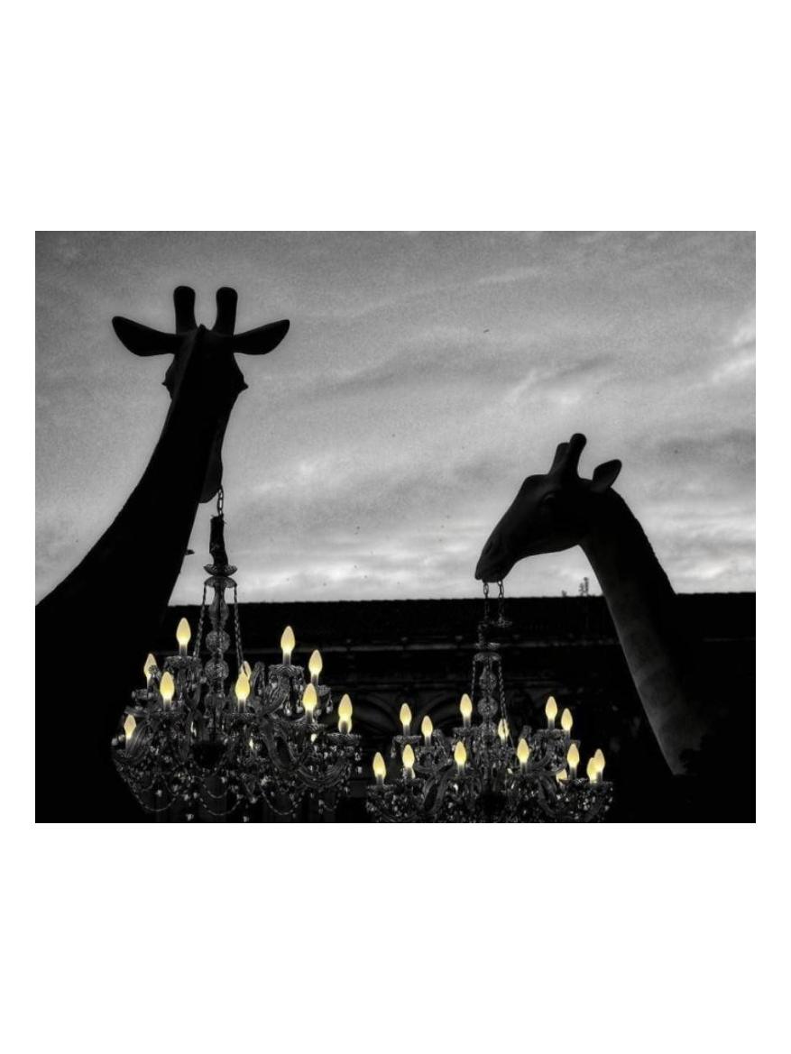 https://objectstorage.ap-seoul-1.oraclecloud.com/n/cnk6gaix2gpw/b/loqoqo-conv/o/qeeboo/giraffe-in-love-outdoor-4-mt-with-led-chandelier/39023.jpg