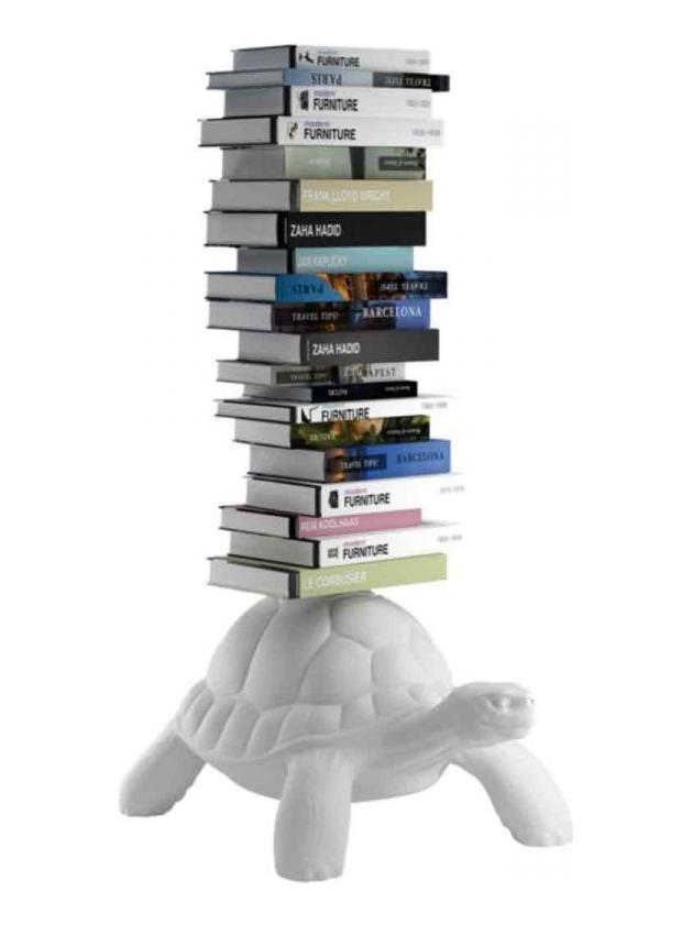 Turtle Carry Bookcase