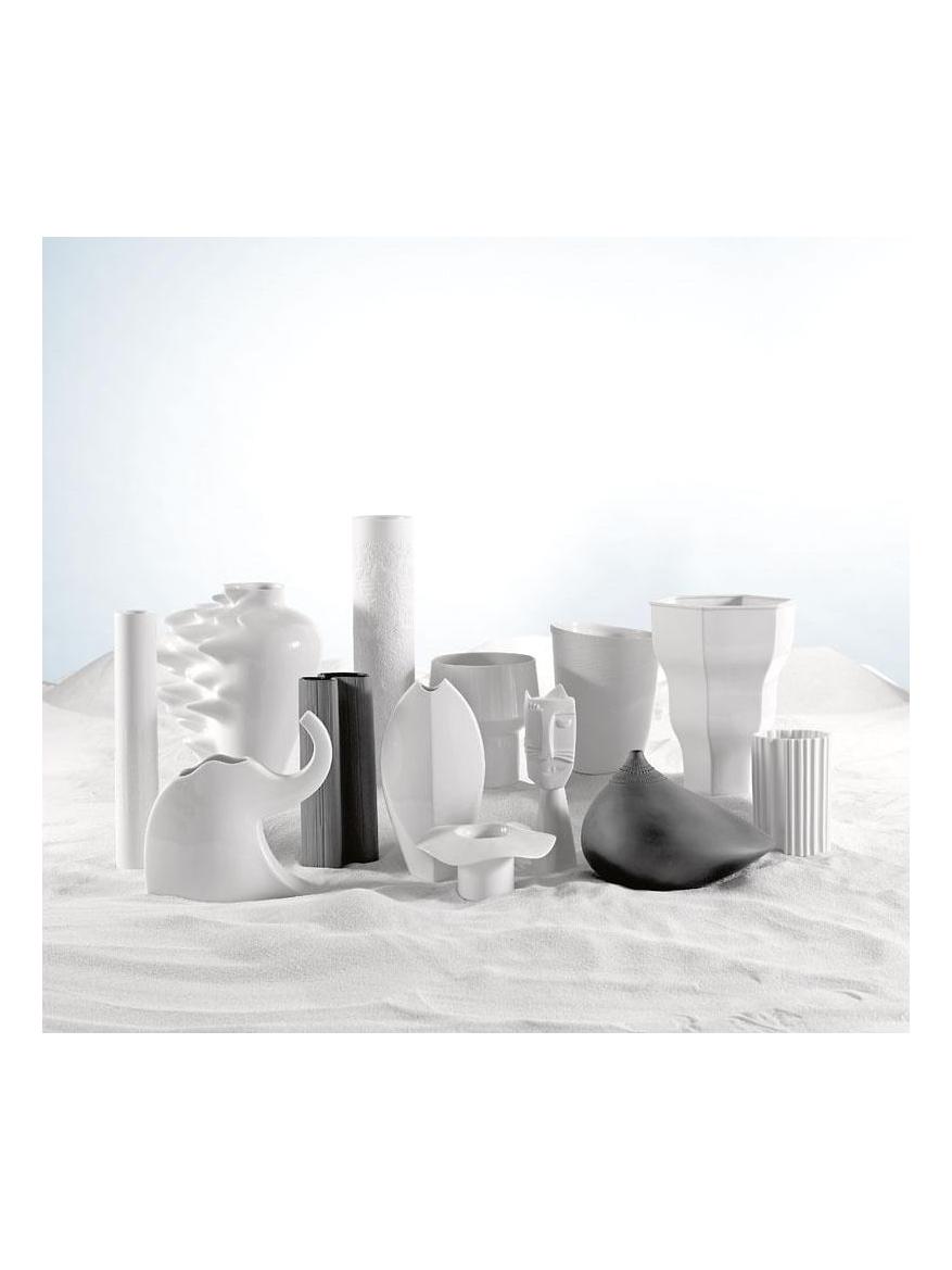 https://objectstorage.ap-seoul-1.oraclecloud.com/n/cnk6gaix2gpw/b/loqoqo-conv/o/rosenthal/mini-vase-plissee-8-cm-weiss/rosenthal-mini-vases_1.jpg