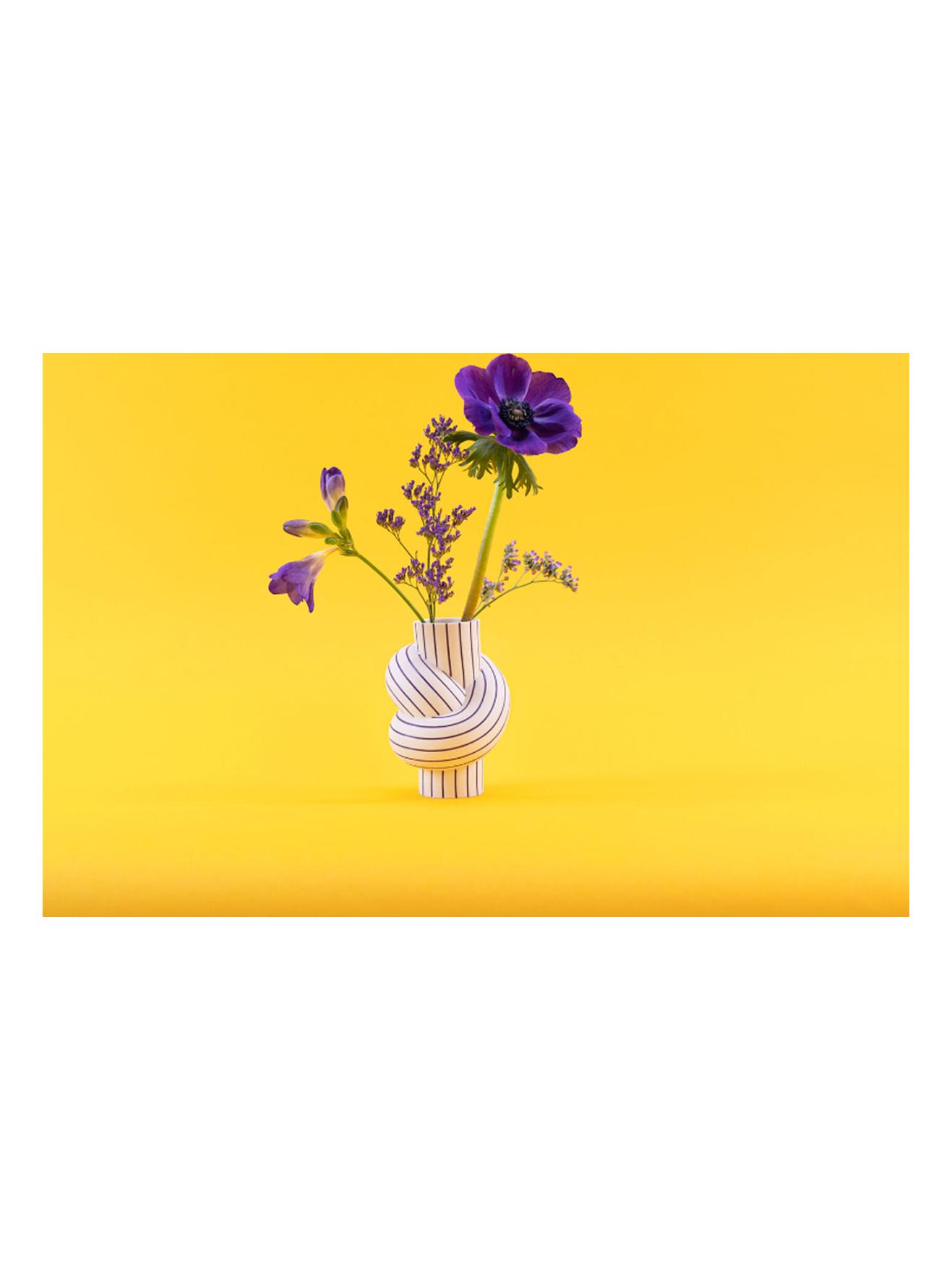 https://objectstorage.ap-seoul-1.oraclecloud.com/n/cnk6gaix2gpw/b/loqoqo-conv/o/rosenthal/node-stripes-vase-12-cm-plum/rosenthal-node-stripes-vase-plum-2.jpg