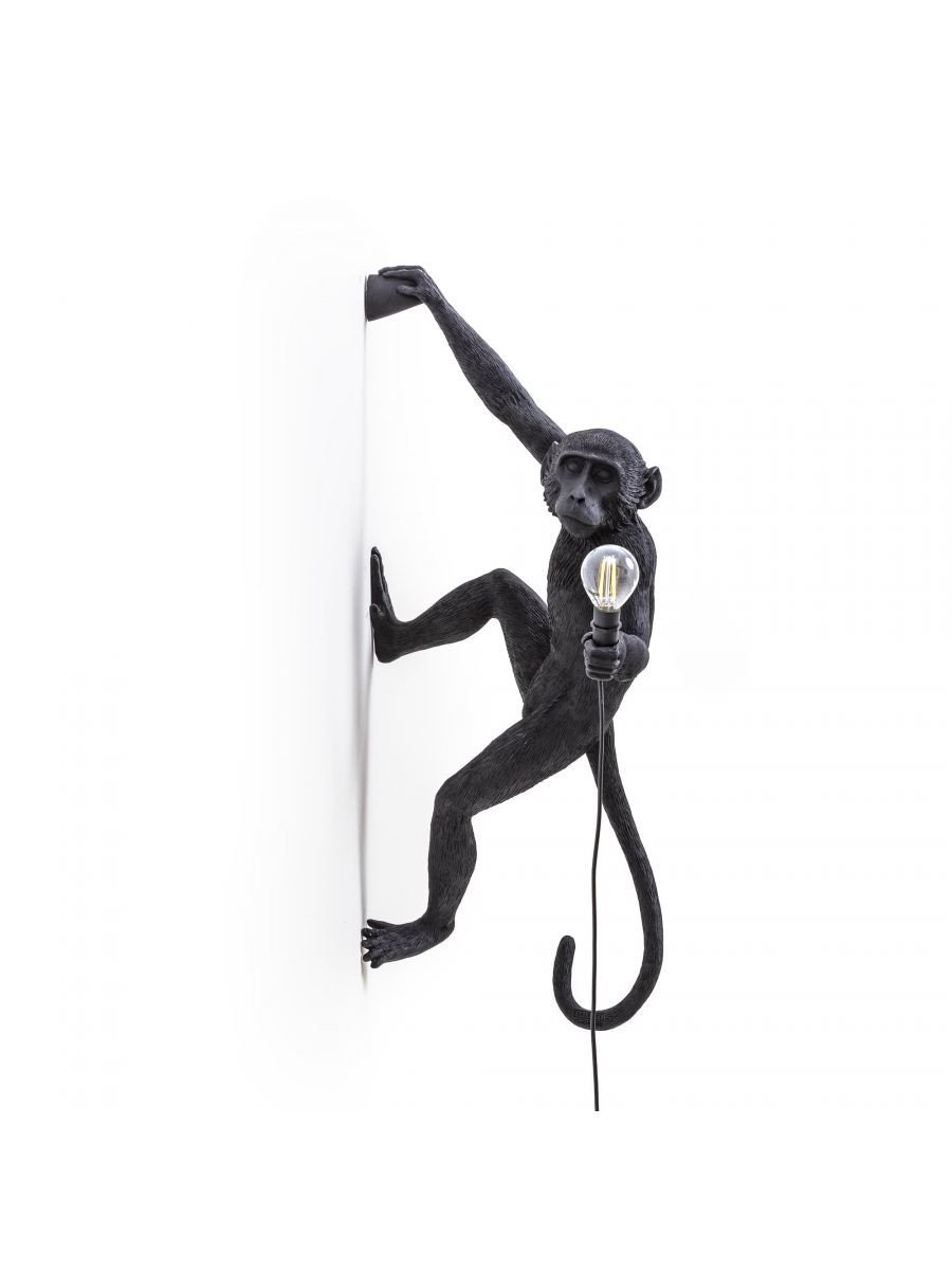 https://objectstorage.ap-seoul-1.oraclecloud.com/n/cnk6gaix2gpw/b/loqoqo-conv/o/seletti/new-monkey-hanging-version-right-hand-outdoor/New_Monkey_Seletti.jpg