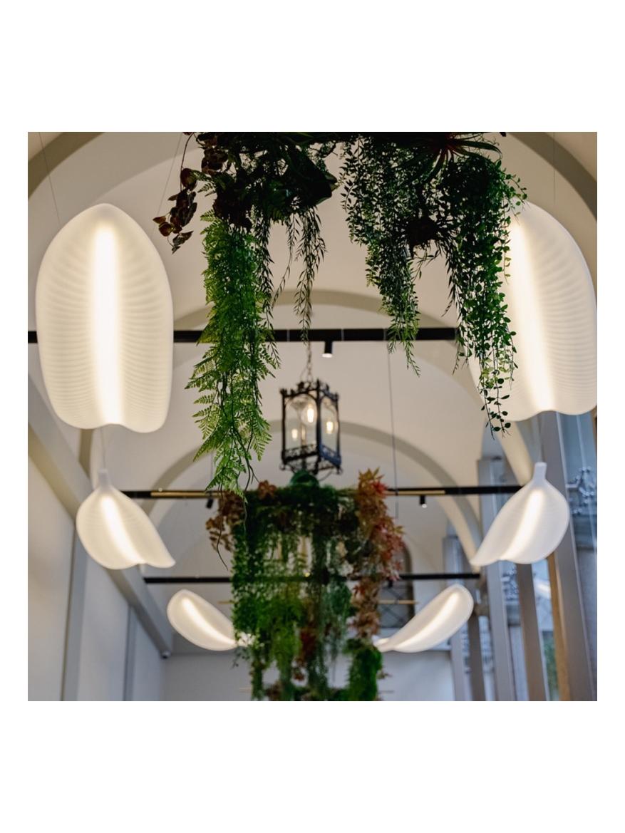 https://objectstorage.ap-seoul-1.oraclecloud.com/n/cnk6gaix2gpw/b/loqoqo-conv/o/slide-design/slide-banana-leaf-suspension-light/159220.jpg
