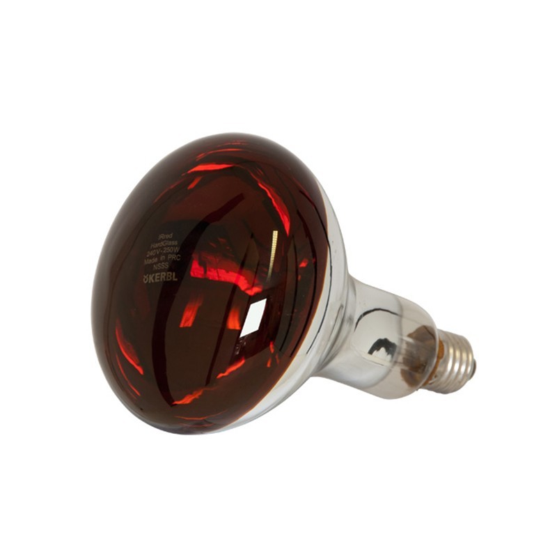 https://objectstorage.ap-seoul-1.oraclecloud.com/n/cnk6gaix2gpw/b/loqoqo-conv/o/tungsram/br-125-250-w-lamp-infrared-red-incandescent/19663.jpg